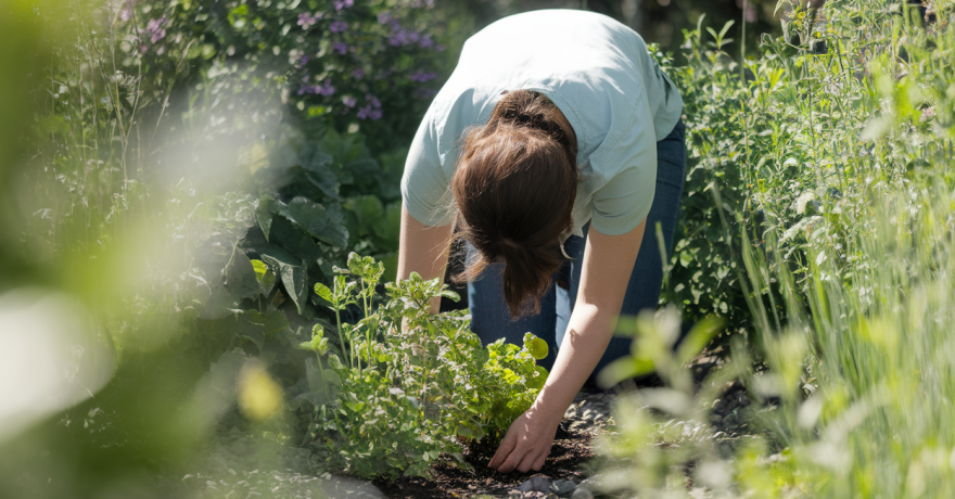Comment pratiquer des loisirs écologiques à la maison ?